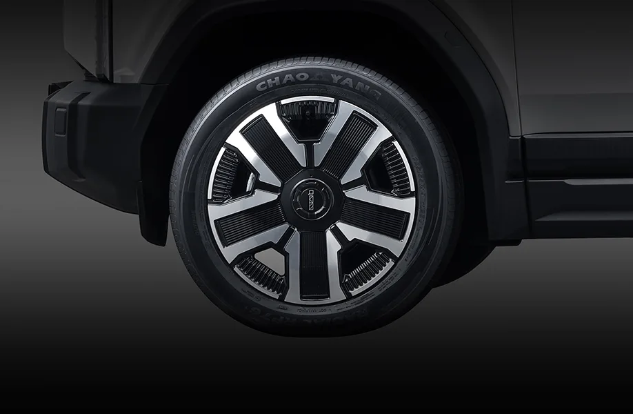 Two-tone 19 Inch Velg